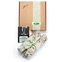 Set de 2 unidades de manojos atados de Salvia blanca. 18-20cm de - Californian White Sage smudge stick (2x) Salvia…